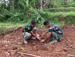 Wujud Nyata Kepedulian Lingkungan, Satgas TMMD Ke-127 Kodim 0617/Majalengka Tanam 150 Pohon