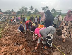 Gawat! Ema-ema Turun ke Jalan, Ikut Gotong Royong Pengerasan Jalan TMMD