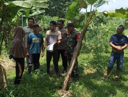 Babinsa Simo Kawal Pengukuran Tanah Warga, Cegah Sengketa Lahan Sejak Dini