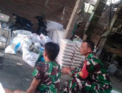 Babinsa Karanggede Turun Cek Pupuk Subsidi, Pastikan Stok Aman dan Harga Tetap Terjangkau