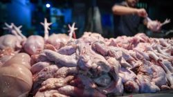 Lindungi Daya Beli Masyarakat, Mentan: Harga Daging Sapi-Ayam dan Telur Harus Sesuai HET