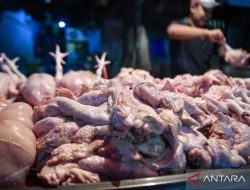 Lindungi Daya Beli Masyarakat, Mentan: Harga Daging Sapi-Ayam dan Telur Harus Sesuai HET