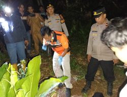 Pamapta Polres Majalengka dan Polsek Malausma Lakukan Olah TKP Penemuan Jenazah Petani di Perkebunan Batununggul