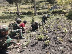 Menanam Harapan di Tanah Papua, Satgas Yonif 521/DY Bantu Warga Berkebun di Kurima