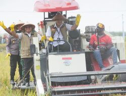 Dirut BULOG Panen Raya di Jawa Timur, Optimistis Mendukung Capaian Target 4 Juta Ton Setara Beras Tahun 2026