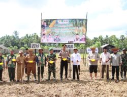 Antisipasi El Nino, Sumenep Percepat Tanam Padi dan Jagung Hibrida