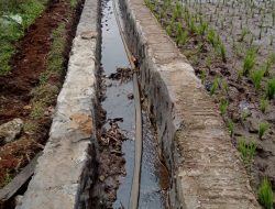Pekerjaan Pemeliharaan Jaringan Irigasi Tersier di Desa Babakan Manjeti, Diduga Mark Up Anggaran.