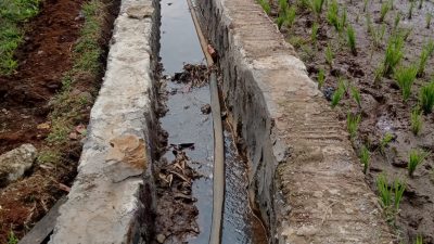 Pekerjaan Pemeliharaan Jaringan Irigasi Tersier di Desa Babakan Manjeti, Diduga Mark Up Anggaran.