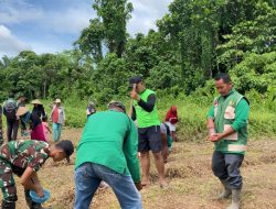 Bentuk Upaya Ketahanan Pangan, Satgas Yonif 643/Wns Tanam Jagung