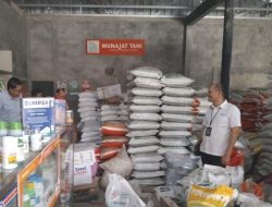 Ketersediaan Pupuk Subsidi Musim Tanam II Dipastikan Aman, Petani Diimbau Percepat Tanam.