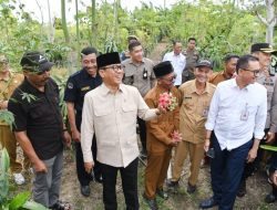 Mendes PDT Dorong Penguatan Desa Tematik Berbasis Potensi Lokal di Banggai