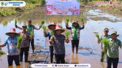 Dukung Ketahanan Pangan, Pemkab Seruyan Gelar Percepat Tanam Padi Serentak