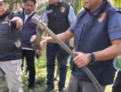 Dir Tipidter Bareskrim Polri Brigjen Pol M Irhamni Cek Langsung Ke Jambi Penyebab Black Out, Diduga Ini Salah Satu Penyebabnya!
