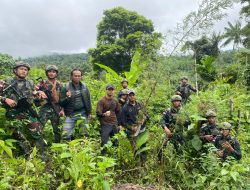 Melalui Patroli Keamanan Gabungan, Satgas Swasembada Yonif 643/Wns Koops TNI Habema Berhasil Temukan Ladang Ganja