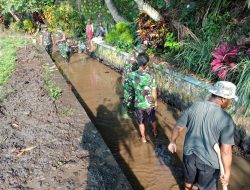 Babinsa Koramil 10/Sambi Bersama Warga Bersihkan Irigasi, Dukung Ketahanan Pangan di Desa Catur