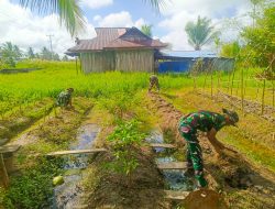 Satgas Yonif 123/Rajawali Perkuat Ketahanan Pangan Warga Kiwiro Melalui Program Hanpangan