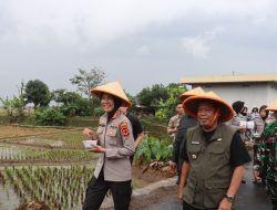 Kapolres Majalengka Bersama Bupati Majalengka Laksanakan Penanaman Jagung Serentak Guna Mendukung Swasembada Pangan Nasional