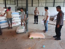 Dukung Ketahanan Pangan, Satlantas Polres Kuningan Dampingi Petani Desa Cibulan Rawat Tanaman Jagung