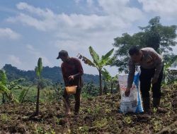 Dari Ladang ke Pabrik Langkah Tegas Polres Kuningan Jaga Asa Petani.