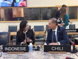 Indonesia Dorong Regulasi Global Media Sosial, Platform Digital Tak Bisa Diatur Satu Negara